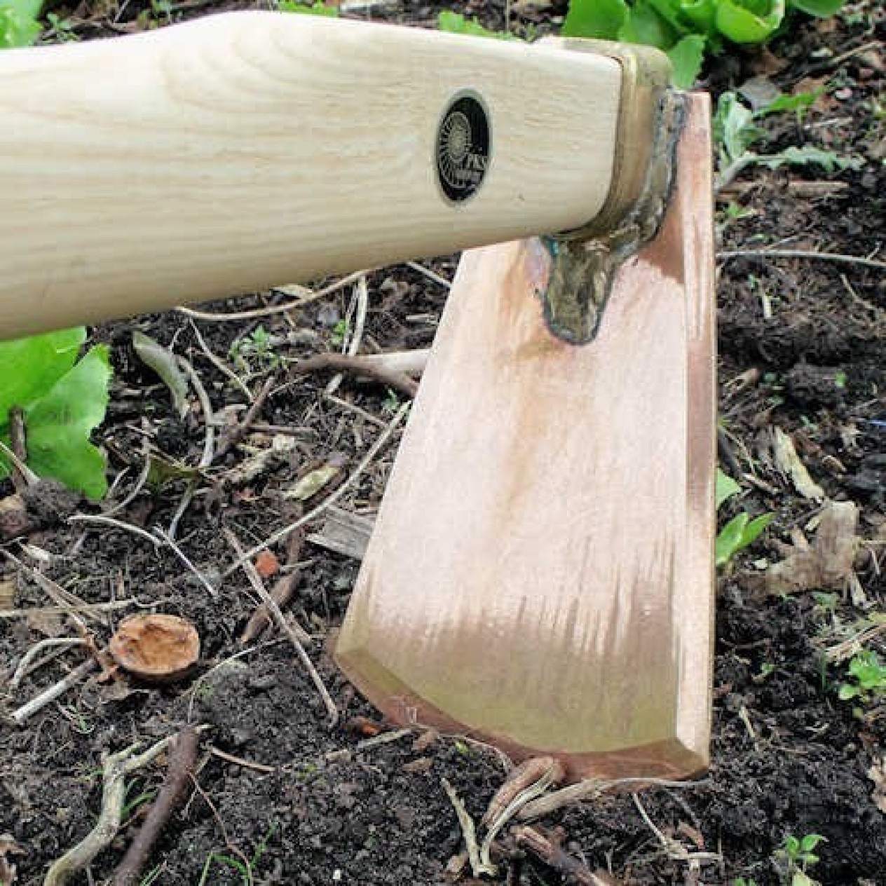 870265-hak-patjol-tuza